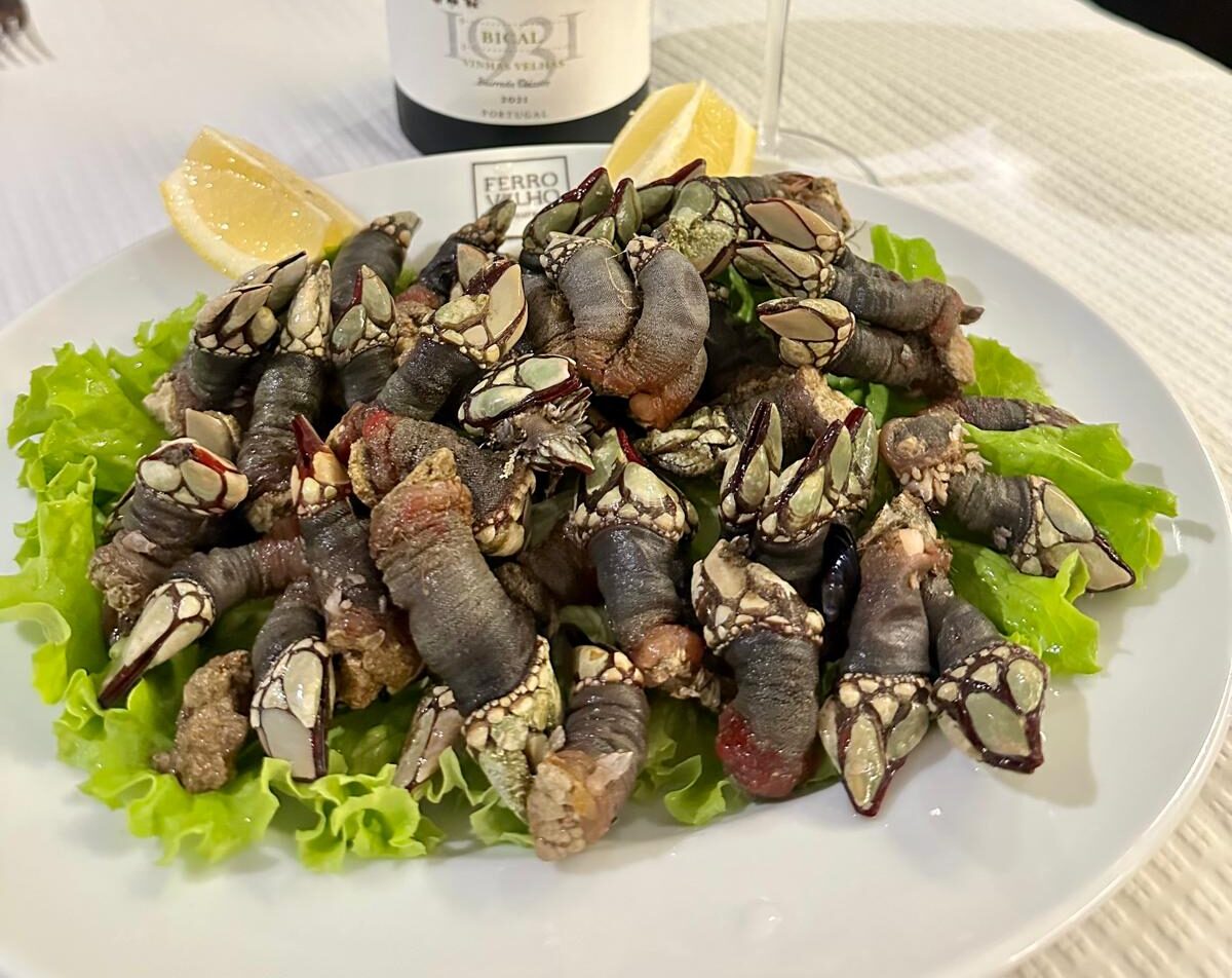 percebes cozidos