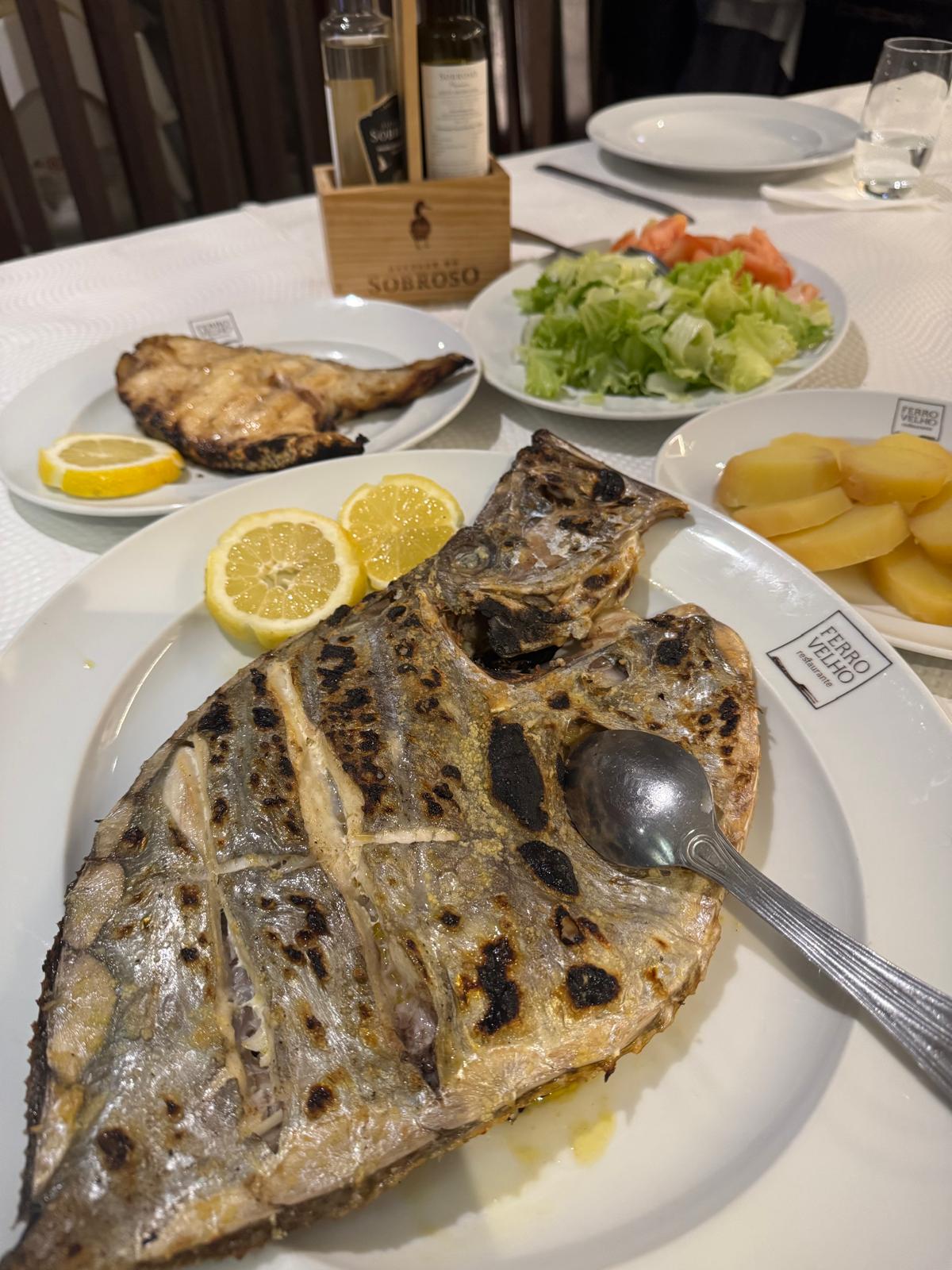 peixe-galo grelhado peixe galo fresco